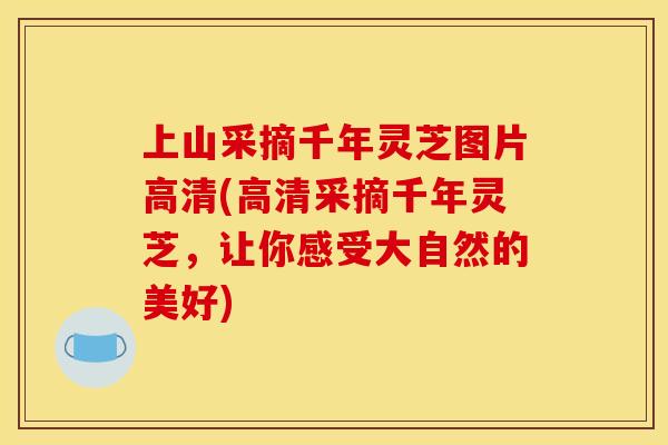 上山采摘千年灵芝图片高清(高清采摘千年灵芝，让你感受大自然的美好)
