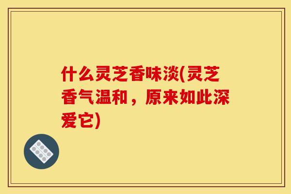 什么灵芝香味淡(灵芝香气温和，原来如此深爱它)