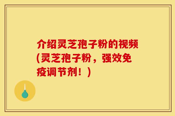 介绍灵芝孢子粉的视频(灵芝孢子粉,强效免疫调节剂!)
