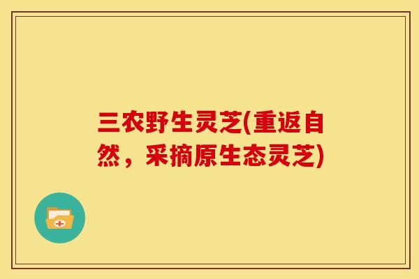 三农野生灵芝(重返自然,采摘原生态灵芝)