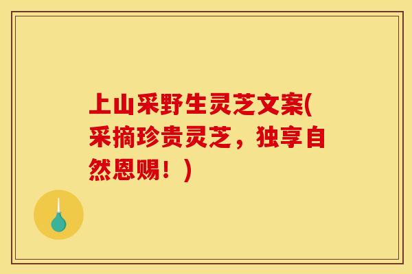 上山采野生灵芝文案(采摘珍贵灵芝,独享自然恩赐!)