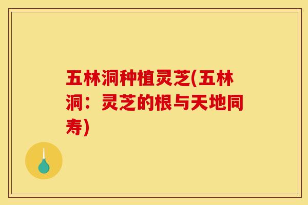 五林洞种植灵芝(五林洞:灵芝的根与天地同寿)