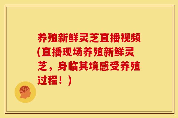 养殖新鲜灵芝直播视频(直播现场养殖新鲜灵芝，身临其境感受养殖过程！)