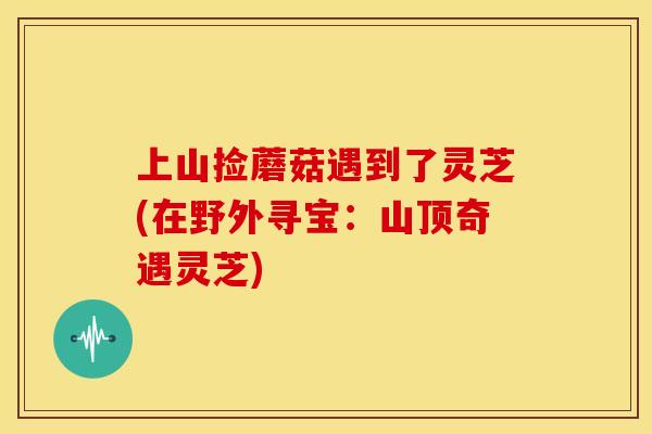 上山捡蘑菇遇到了灵芝(在野外寻宝:山顶奇遇灵芝)
