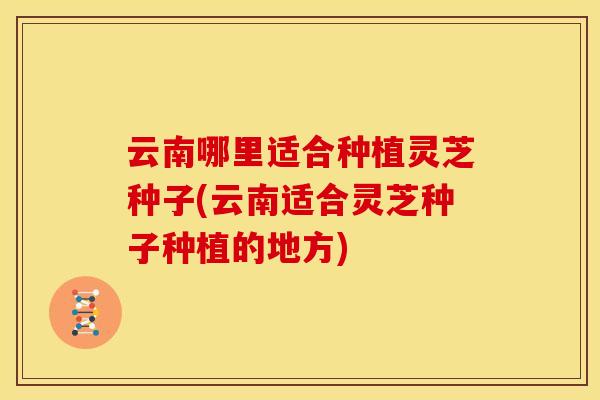 云南哪里适合种植灵芝种子(云南适合灵芝种子种植的地方)