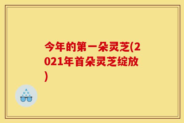 今年的第一朵灵芝(2021年首朵灵芝绽放)