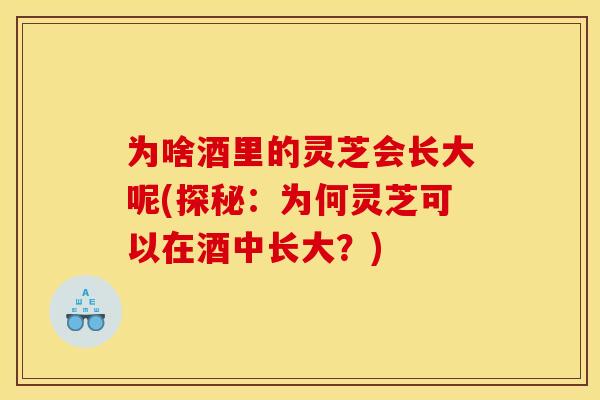为啥酒里的灵芝会长大呢(探秘:为何灵芝可以在酒中长大?)