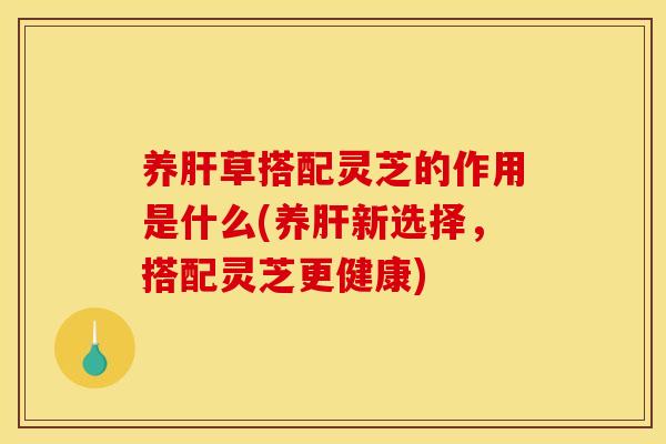 养肝草搭配灵芝的作用是什么(养肝新选择,搭配灵芝更健康)