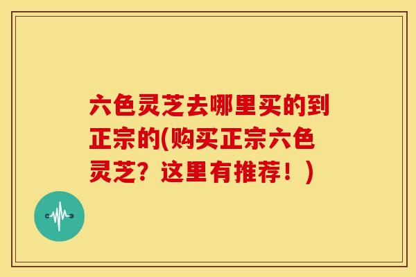 六色灵芝去哪里买的到正宗的(购买正宗六色灵芝?这里有推荐!)
