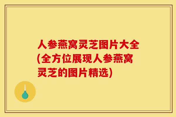 人参燕窝灵芝图片大全(全方位展现人参燕窝灵芝的图片精选)
