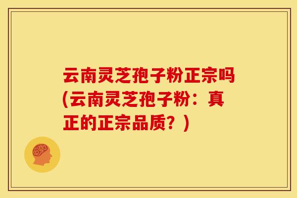 云南灵芝孢子粉正宗吗(云南灵芝孢子粉:真正的正宗品质?)
