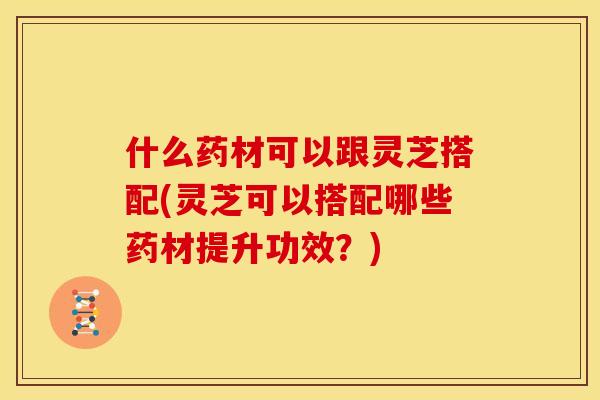 什么药材可以跟灵芝搭配(灵芝可以搭配哪些药材提升功效?)