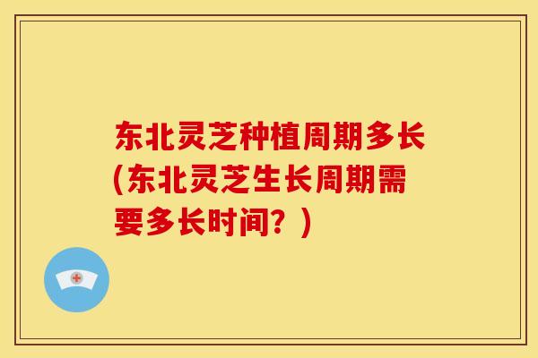 东北灵芝种植周期多长(东北灵芝生长周期需要多长时间?)