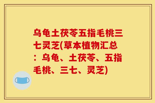 乌龟土茯苓五指毛桃三七灵芝(草本植物汇总:乌龟、土茯苓、五指毛桃、三七、灵芝)