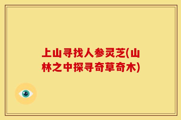 上山寻找人参灵芝(山林之中探寻奇草奇木)