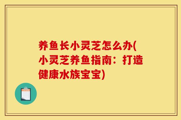 养鱼长小灵芝怎么办(小灵芝养鱼指南:打造健康水族宝宝)