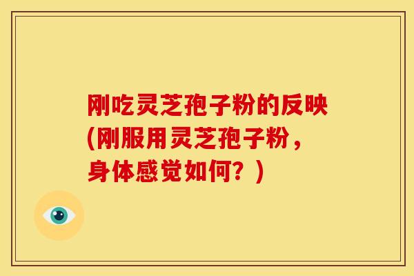 刚吃灵芝孢子粉的反映(刚服用灵芝孢子粉,身体感觉如何?)