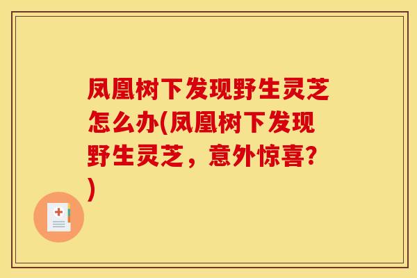 凤凰树下发现野生灵芝怎么办(凤凰树下发现野生灵芝,意外惊喜?)