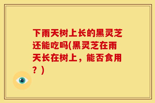 下雨天树上长的黑灵芝还能吃吗(黑灵芝在雨天长在树上,能否食用?)