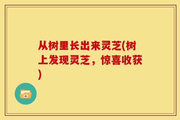 从树里长出来灵芝(树上发现灵芝,惊喜收获)