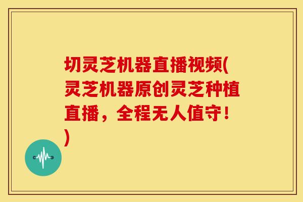 切灵芝机器直播视频(灵芝机器原创灵芝种植直播,全程无人值守!)