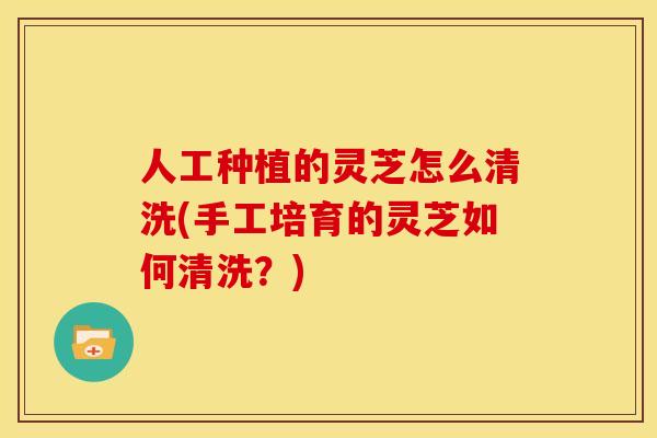 人工种植的灵芝怎么清洗(手工培育的灵芝如何清洗?)