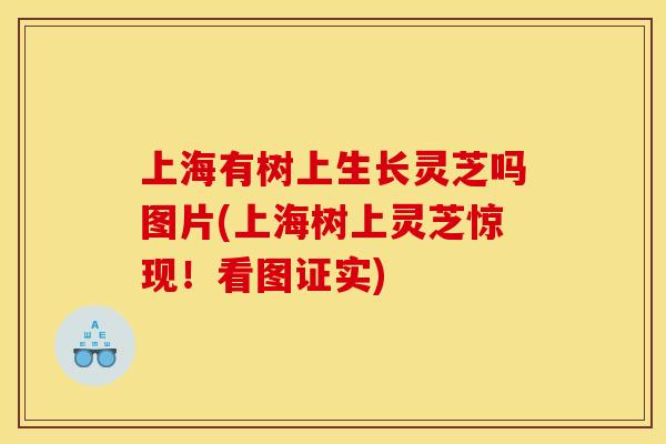 上海有树上生长灵芝吗图片(上海树上灵芝惊现！看图证实)