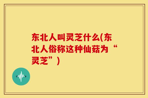 东北人叫灵芝什么(东北人俗称这种仙菇为“灵芝”)