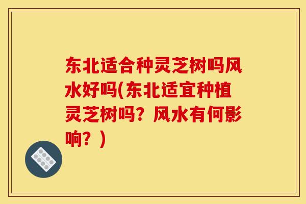 东北适合种灵芝树吗风水好吗(东北适宜种植灵芝树吗?风水有何影响?)