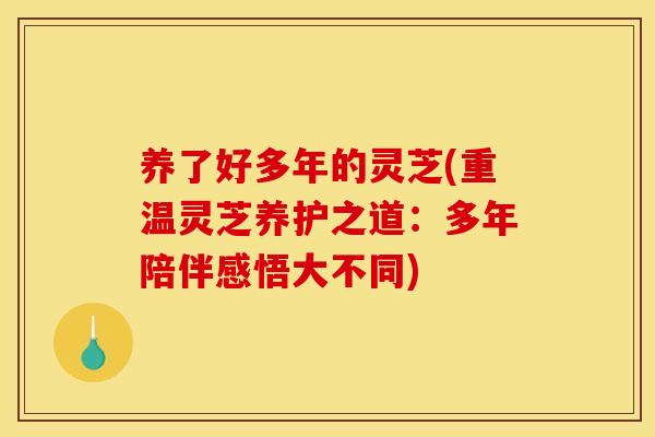 养了好多年的灵芝(重温灵芝养护之道：多年陪伴感悟大不同)
