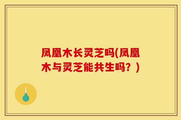 凤凰木长灵芝吗(凤凰木与灵芝能共生吗?)
