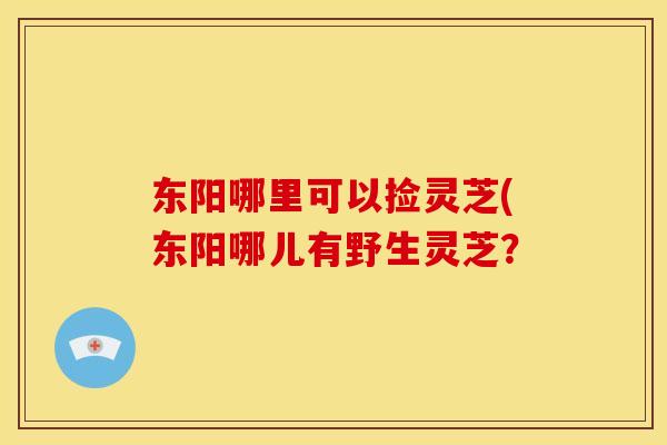 东阳哪里可以捡灵芝(东阳哪儿有野生灵芝?