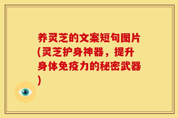 养灵芝的文案短句图片(灵芝护身神器,提升身体免疫力的秘密武器)