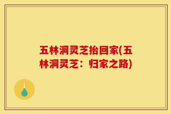 五林洞灵芝抬回家(五林洞灵芝:归家之路)