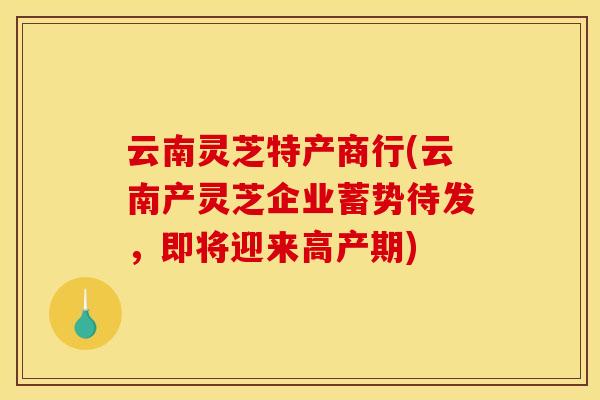 云南灵芝特产商行(云南产灵芝企业蓄势待发，即将迎来高产期)