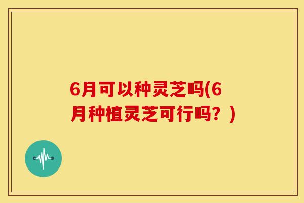 6月可以种灵芝吗(6月种植灵芝可行吗?)