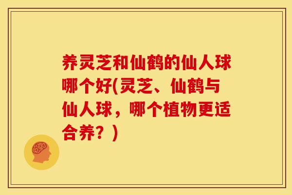 养灵芝和仙鹤的仙人球哪个好(灵芝、仙鹤与仙人球，哪个植物更适合养？)