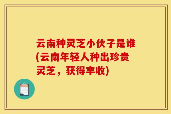 云南种灵芝小伙子是谁(云南年轻人种出珍贵灵芝,获得丰收)