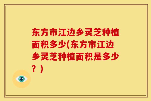 东方市江边乡灵芝种植面积多少(东方市江边乡灵芝种植面积是多少?)