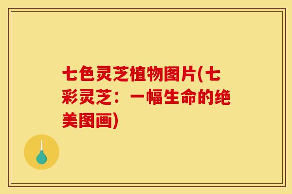 七色灵芝植物图片(七彩灵芝:一幅生命的绝美图画)