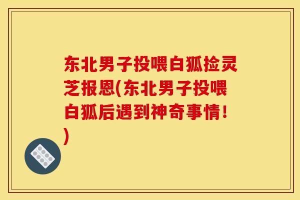 东北男子投喂白狐捡灵芝报恩(东北男子投喂白狐后遇到神奇事情！)