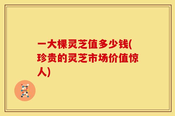 一大棵灵芝值多少钱(珍贵的灵芝市场价值惊人)