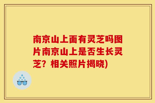 南京山上面有灵芝吗图片南京山上是否生长灵芝？相关照片揭晓)