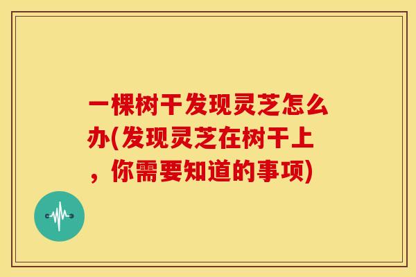 一棵树干发现灵芝怎么办(发现灵芝在树干上，你需要知道的事项)