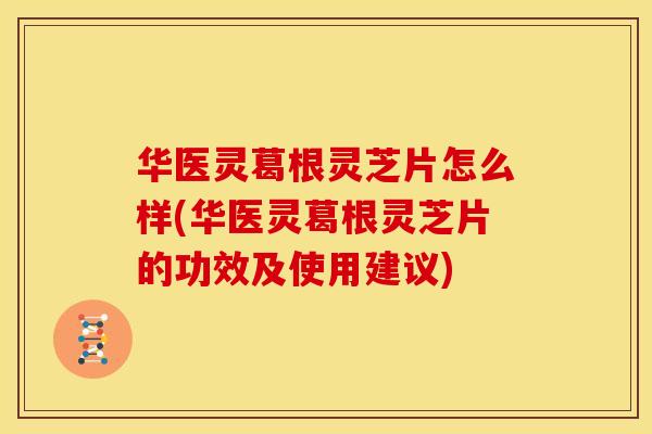 华医灵葛根灵芝片怎么样(华医灵葛根灵芝片的功效及使用建议)