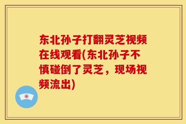 东北孙子打翻灵芝视频在线观看(东北孙子不慎碰倒了灵芝,现场视频流出)