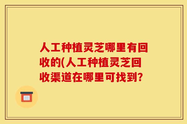 人工种植灵芝哪里有回收的(人工种植灵芝回收渠道在哪里可找到?