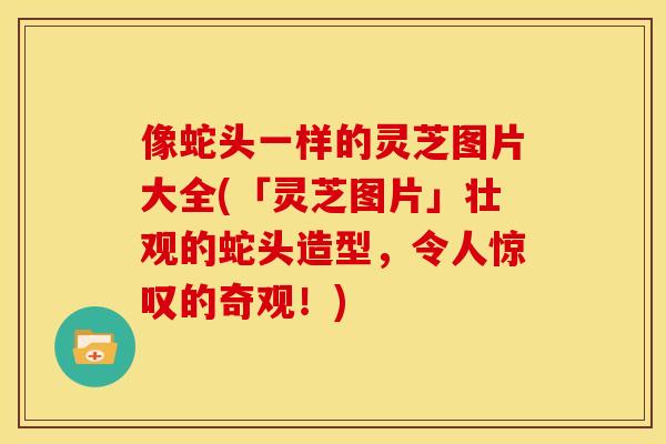 像蛇头一样的灵芝图片大全(「灵芝图片」壮观的蛇头造型,令人惊叹的奇观!)