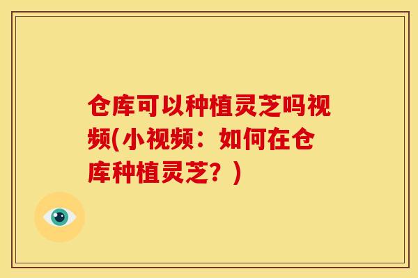 仓库可以种植灵芝吗视频(小视频:如何在仓库种植灵芝?)