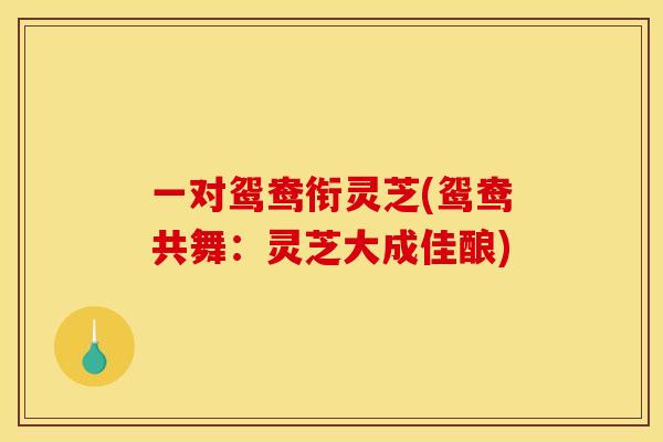 一对鸳鸯衔灵芝(鸳鸯共舞:灵芝大成佳酿)